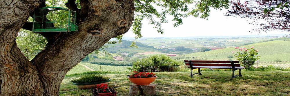 Agriturismo Albarossa Nizza Monferrato Exterior photo