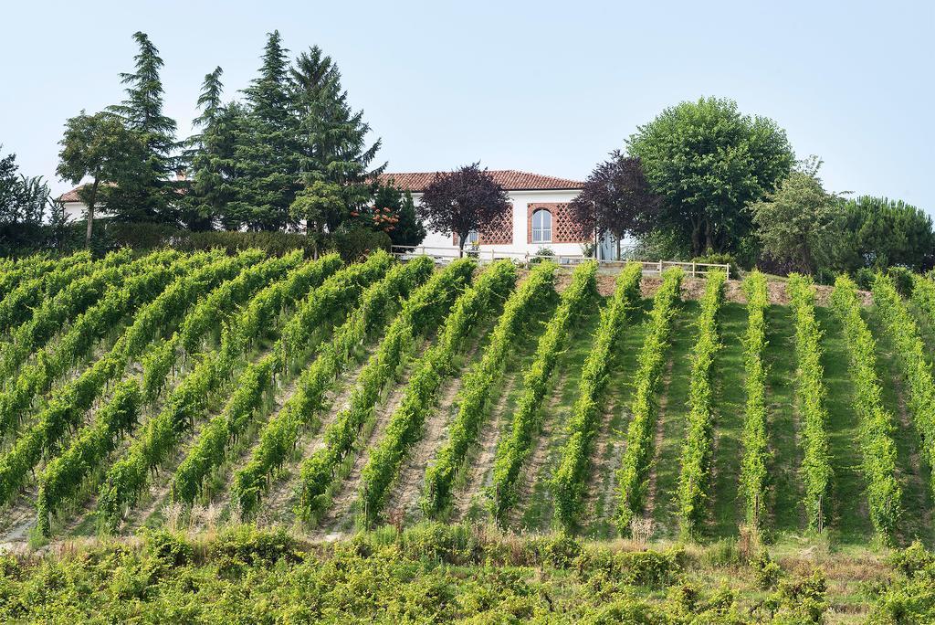 Agriturismo Albarossa Nizza Monferrato Exterior photo